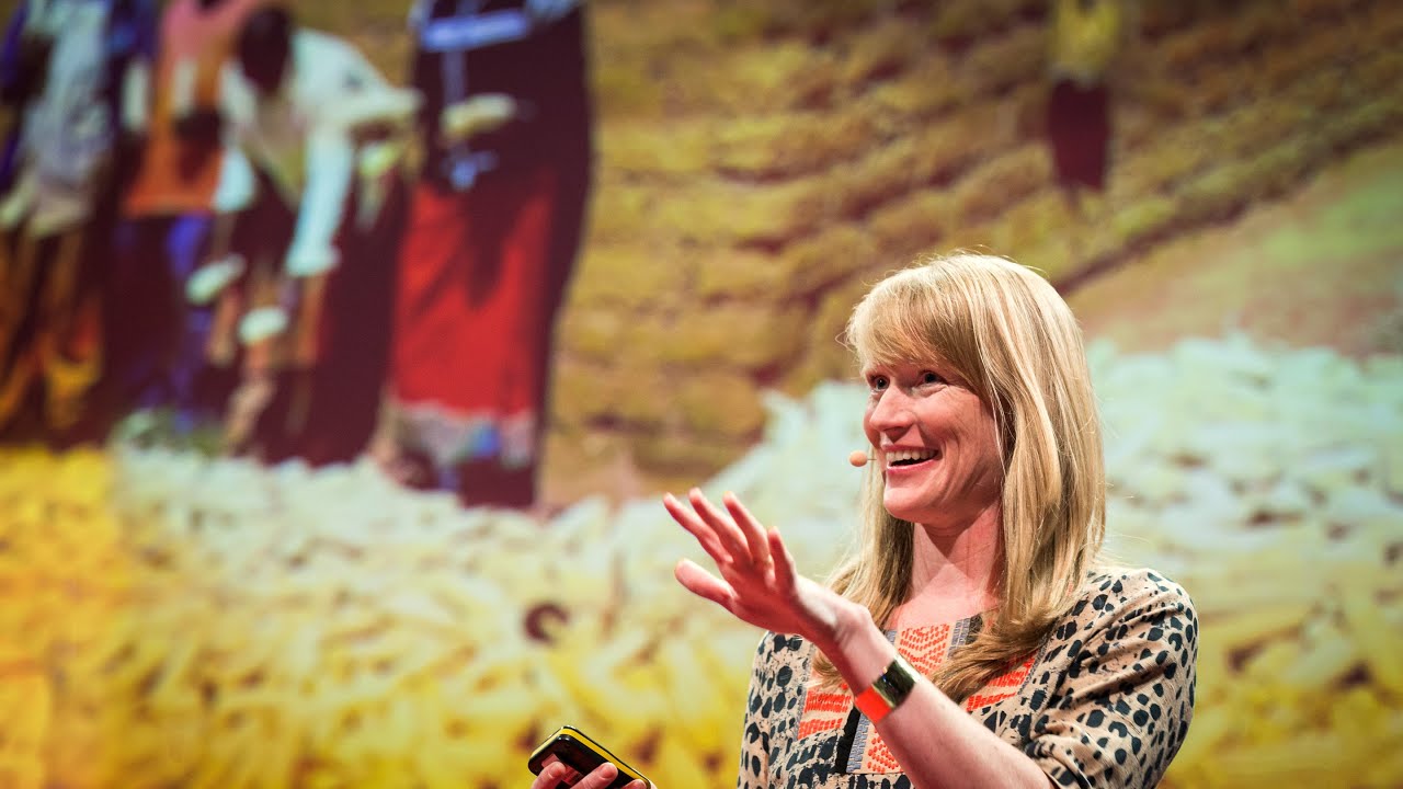 spreading the disease Rose Goslinga: Crop insurance, an idea worth seeding