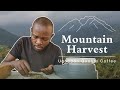 Mountain harvest tour  quality control
