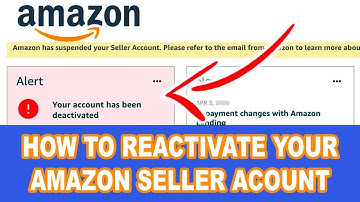 A LITTLE MISTAKE most SUSPENDED Amazon Sellers Get WRONG When APPEALING
