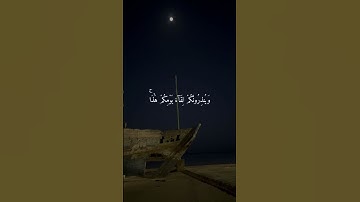 تلاوة خاشعة جميلة بصوت ماهر المعيقلي 🤍