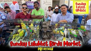 SUNDAY LALUKHET BIRDS MARKET | Urdu \/ Hindi | PBI Official