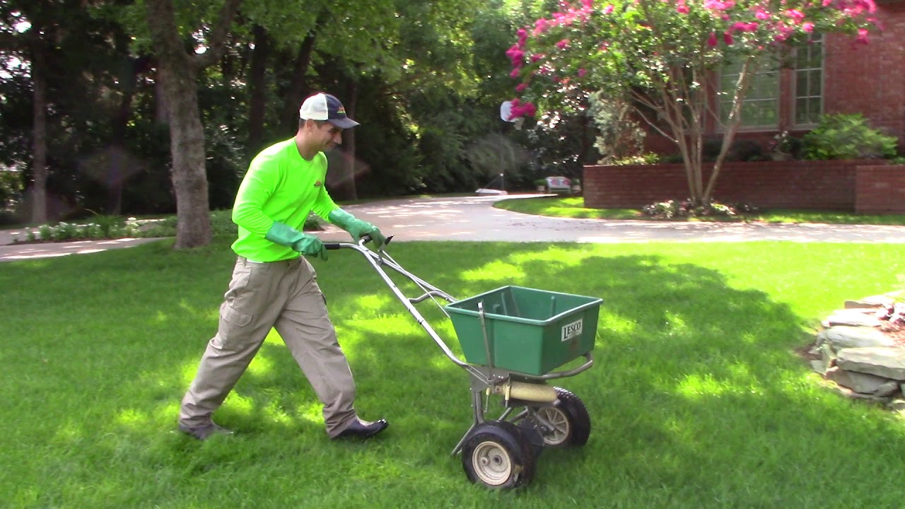 applying-organic-fertilizer-to-fescue-youtube