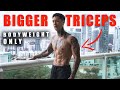 Bigger Triceps With Body Weight Only | Home Workout
