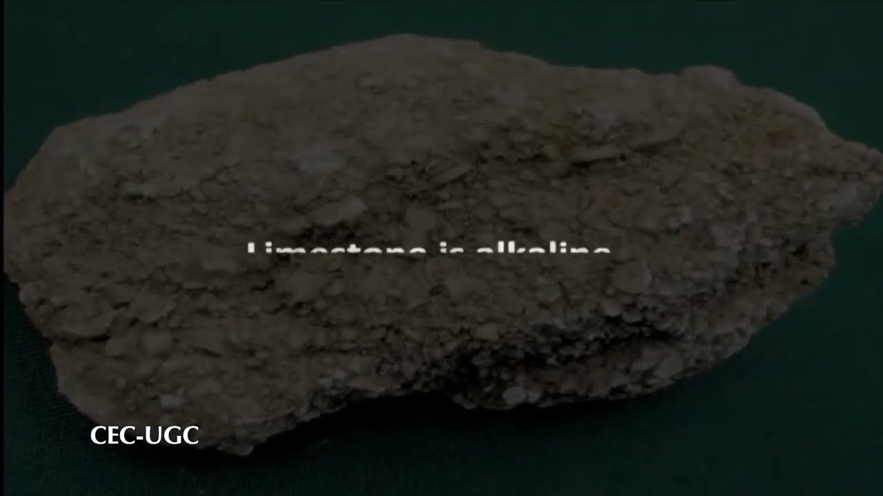 Chemical Properties of Soil (pH And Soil Nutrient Status)