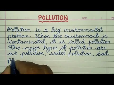 how to write an essay about pollution