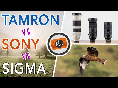 E-mount Tele Zoom Comparison for Wildlife - Sony 200-600mm vs Sigma 150-600mm vs Tamron 150-500mm