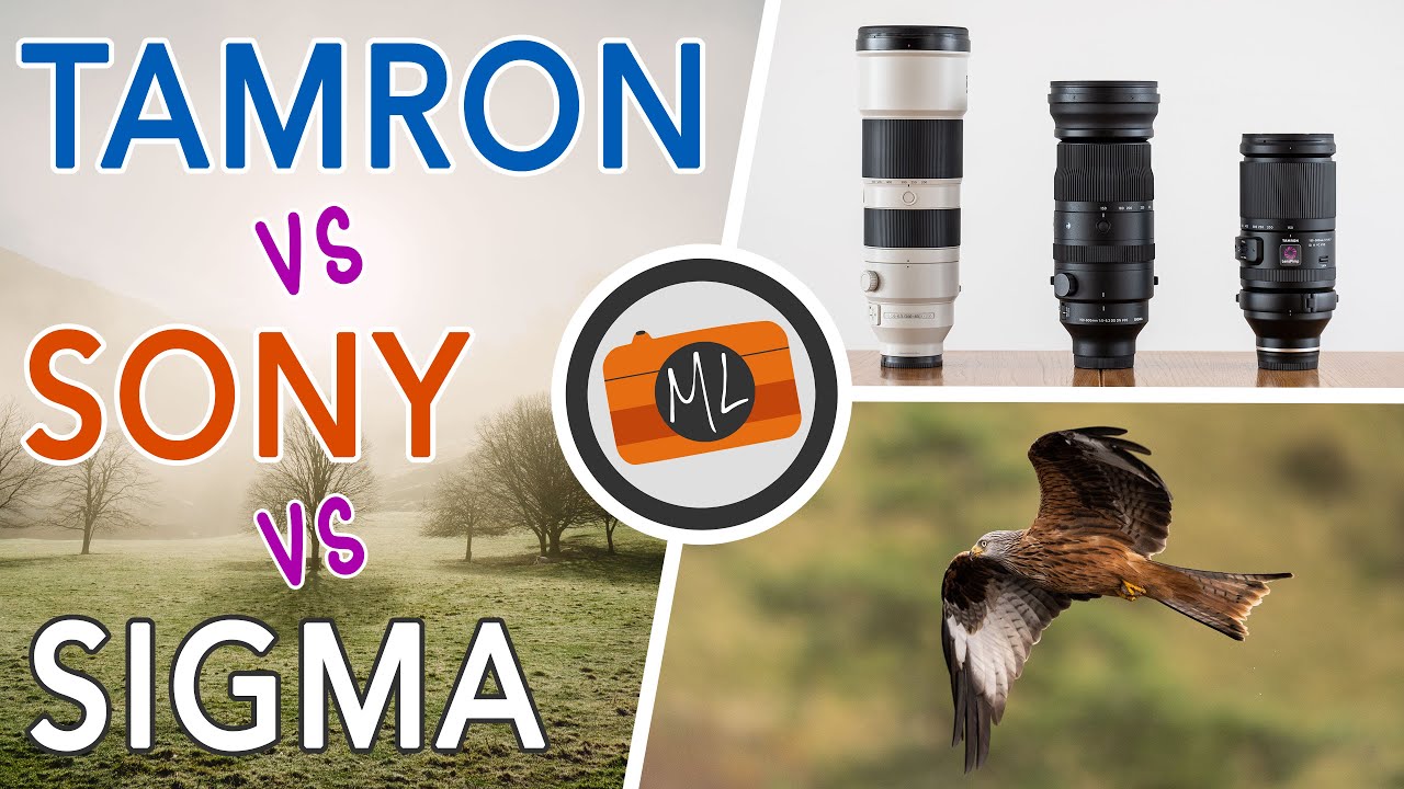 Emount Tele Zoom Comparison for Wildlife Sony 200600mm vs Sigma 150