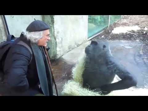 guy talking with monkey