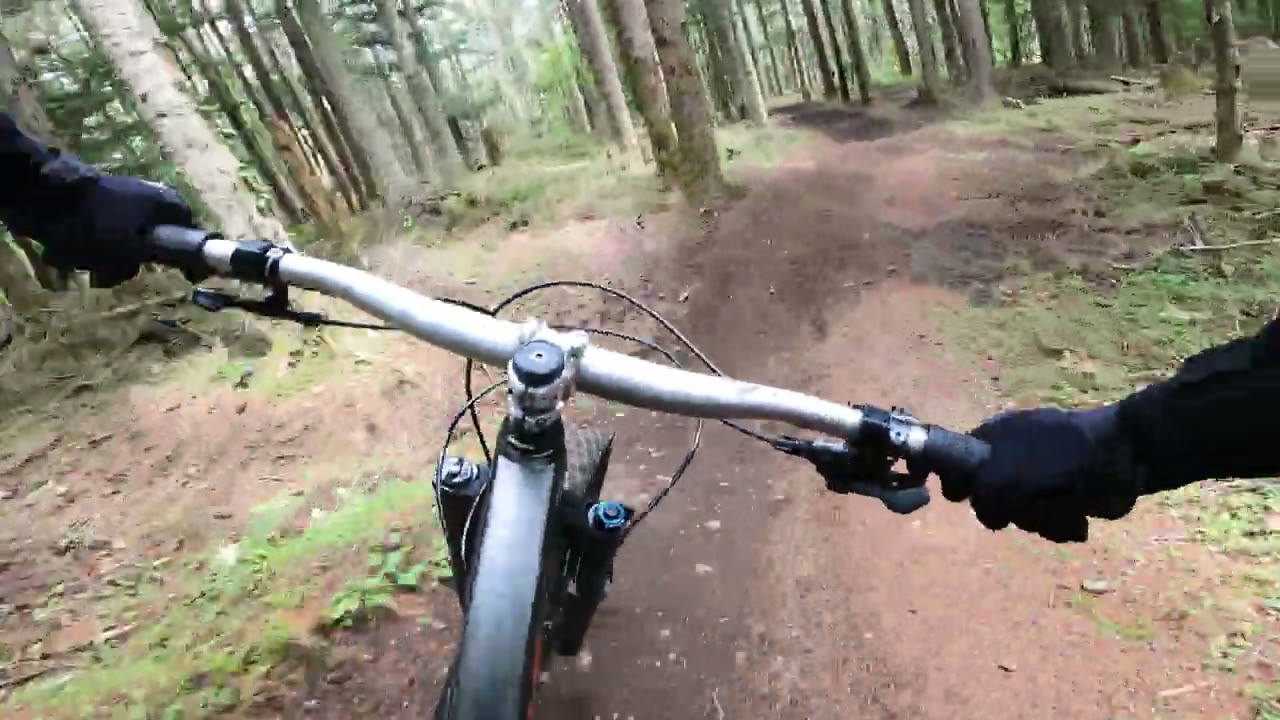 MTBで遊ぼう】湘南から2時間で行ける富士山の大型MTBパーク「ふじてん