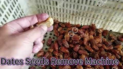 Industrial Use Palm Date Seeds Removing Machine|Date Pitter