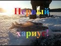 Первая осенняя подледная рыбалка на хариуса 06.10.2017 г Якутия Yakutia