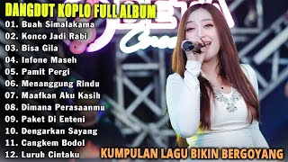 Dangdut Koplo Full Album Terbaru 2025 - Lagu Dangdut Paling Enak Didengar Bikin Bergoyang