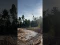 17 ноября 2025 г.