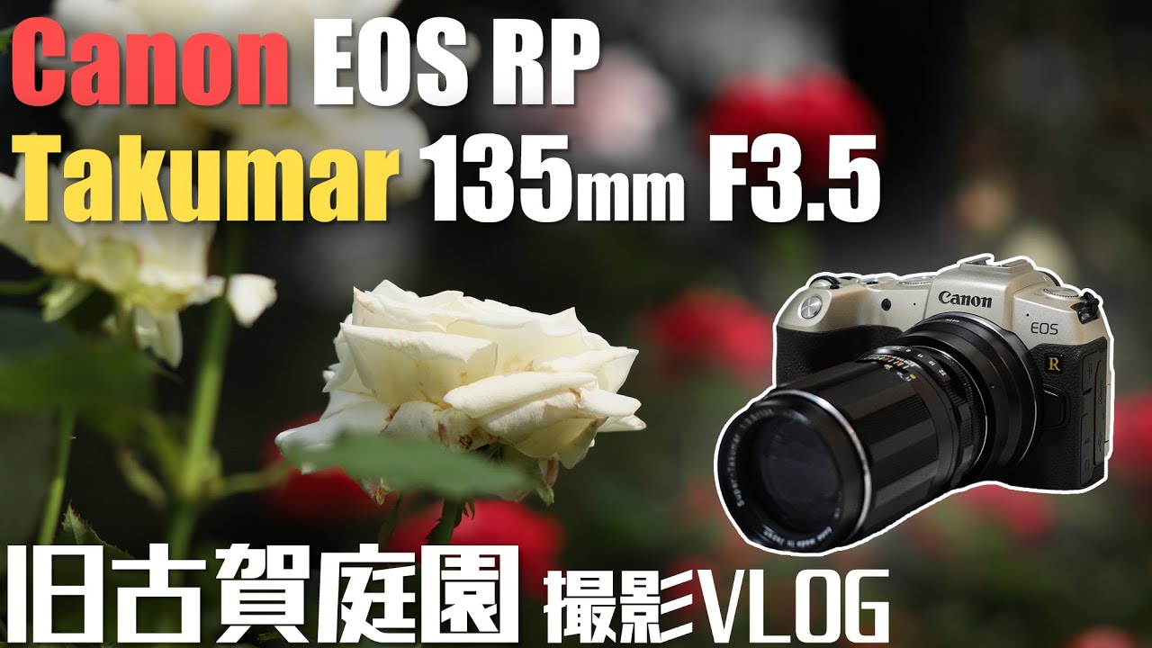 【VLOG】オールドレンズ Super Takumar 135mm F3.5+EOS RP　旧古河庭園でバラをスナップ