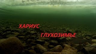 Хариус. Что это? Глухозимье? Подводные съемки