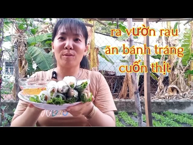 Làm bánh tráng cuốn thịt luộc ăn no căng bụng# Hương Nguyễn class=