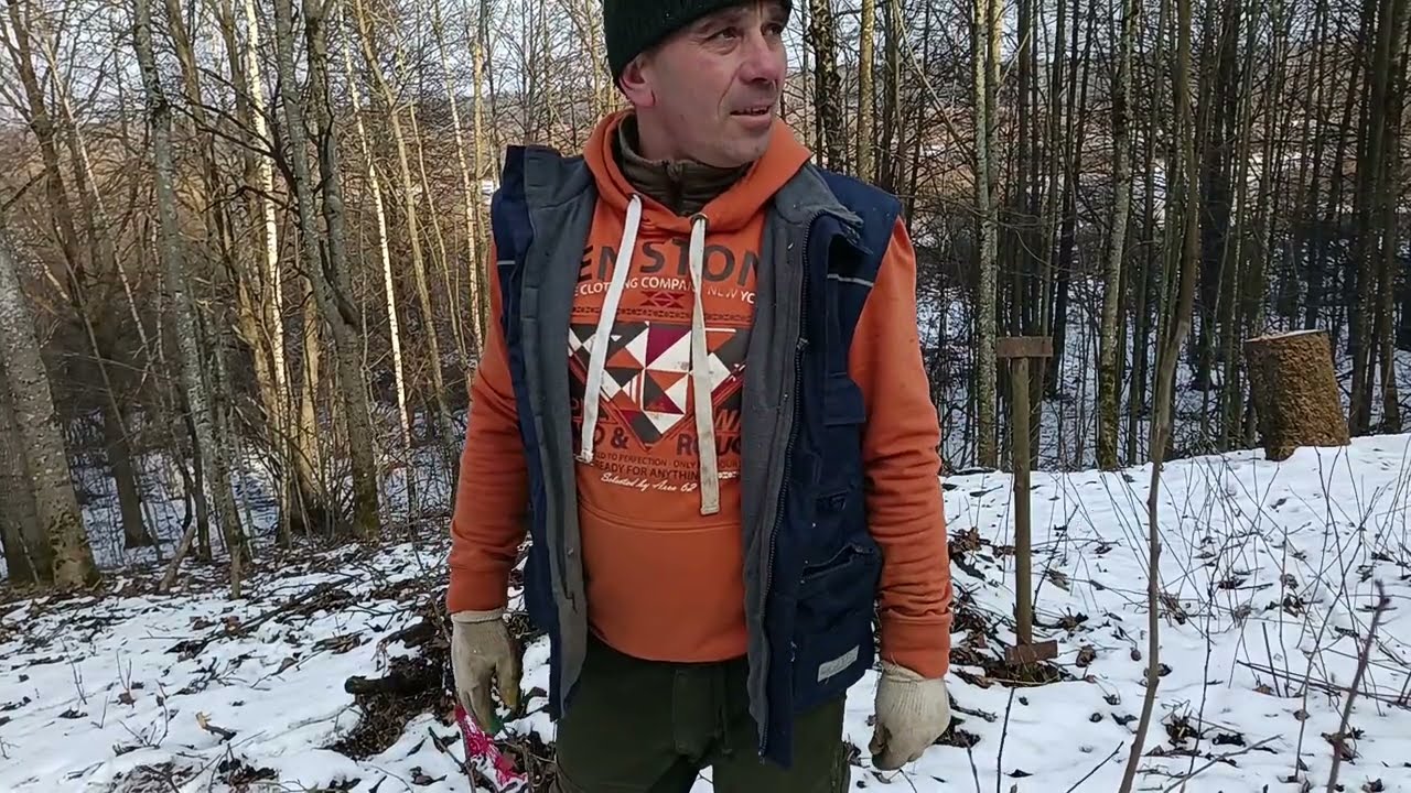 "Очистка Участка: Убираем Старые Постройки для Новых Идей"