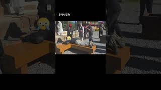 느티나무횟집 영상