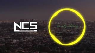 Hurts Like This Lyrics (feat. Veronica Bravo)[Music provided by NoCopyrightSounds