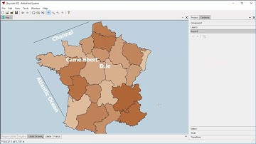 Manifold 9 - New Labels Features in 9