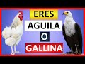 ✅Eres Aguila o Gallina  ✅La decision es Tuya  ✅Dos Tipos de Personas