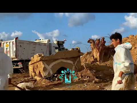 فريق شباب درنه الزاهرة شباب متطوع لتنظيف مخلفات إعصار دنيال في مدينة درنه