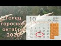 Телец гороскоп на октябрь 2020.