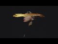 Phora - When It's Over ft. Tiffany Evans [Official Audio]