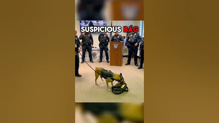 Police dog gets the last call before she can retire 😱 #shorts