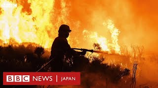 燃える欧州　世界各地で山火事広がる