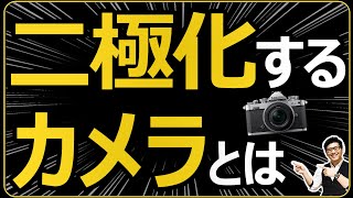 ミラーレス一眼カメラがハイスペックと趣味機に二極化している