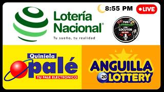 Lotera Nacional Noche Quiniela Pale Anguilla 9 En Vivo De Hoy Martes 24 De Febrero De 2026