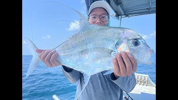 ĐỤNG CÁ BÈ LÃO Ở PHÚ QUỐC- KÉO NHỨC CÁI NÁCH