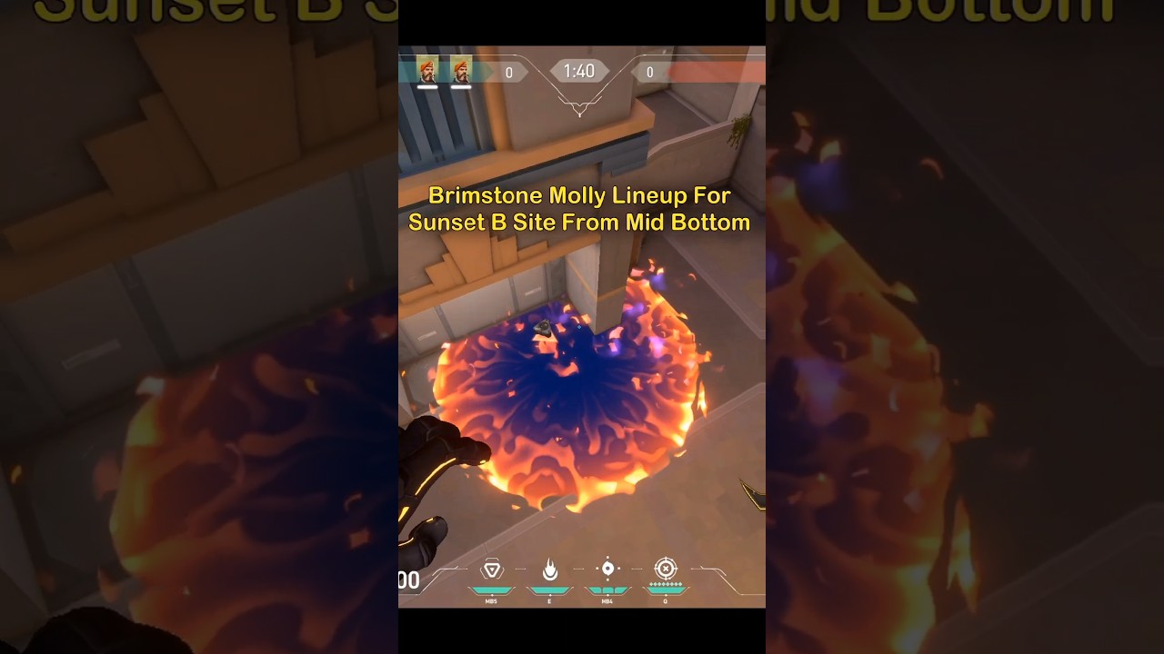 100% Perfect Brimstone Molly |Sunset Mid Bottom To B 