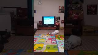 2017123003看pingu笑笑(1y11m10d)
