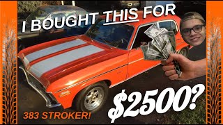 Can You Buy a 400+HP MUSCLE CAR For $2500!?