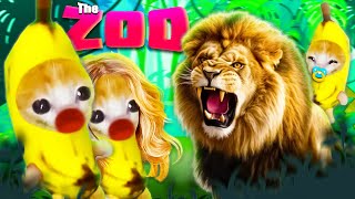 Baby Banana Cat want going to the Zoo | Happy Cat Funny 69