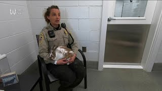 Animal Control Officers want to clear up some common misconceptions about their jobs
