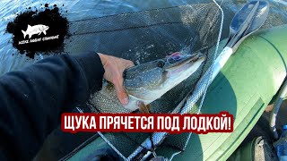 видео: Вечерка на Ишиме #рыбалка #рыбалка2025 #рыбалканащуку картинка: Вечерка на Ишиме #рыбалка #рыбалка2025 #рыбалканащуку