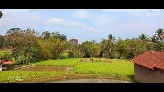 Lagu Sunda Sabilulungan terbaru