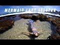 Mermaid bersantai di laut selatan