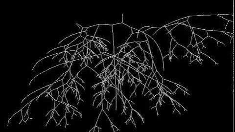 Collatz map with Ubigraph