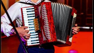 Accordion hits  the most beautiful melodies on the accordion