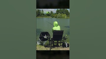 Exclusive feeder chair 👉 Delphin REAXE