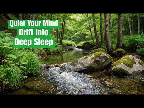 Let the Peaceful Sound of a Natural River Wash Away Stress and Guide You into Deep, Restful Sleep