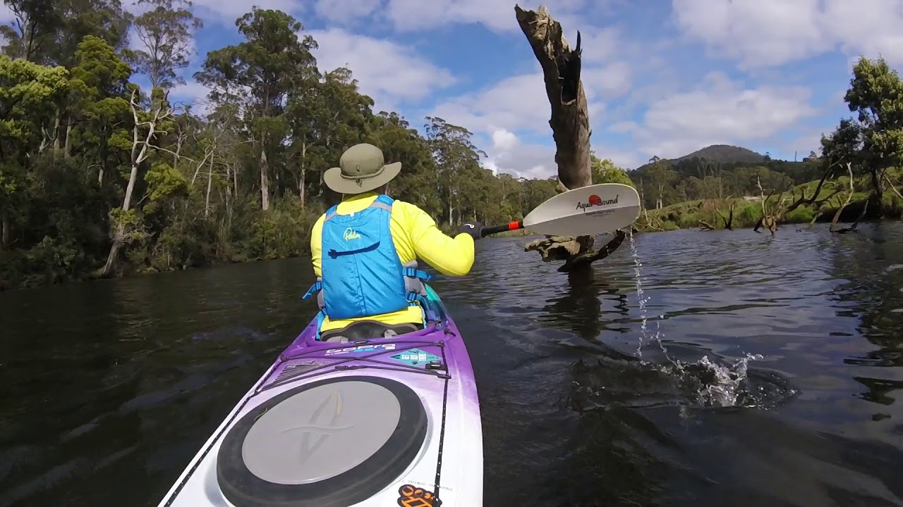 Kayak-Quick paddle on Leven River Tasmania