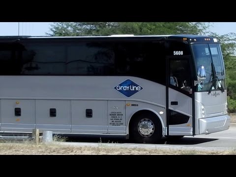 Gray line tours nyc coupons