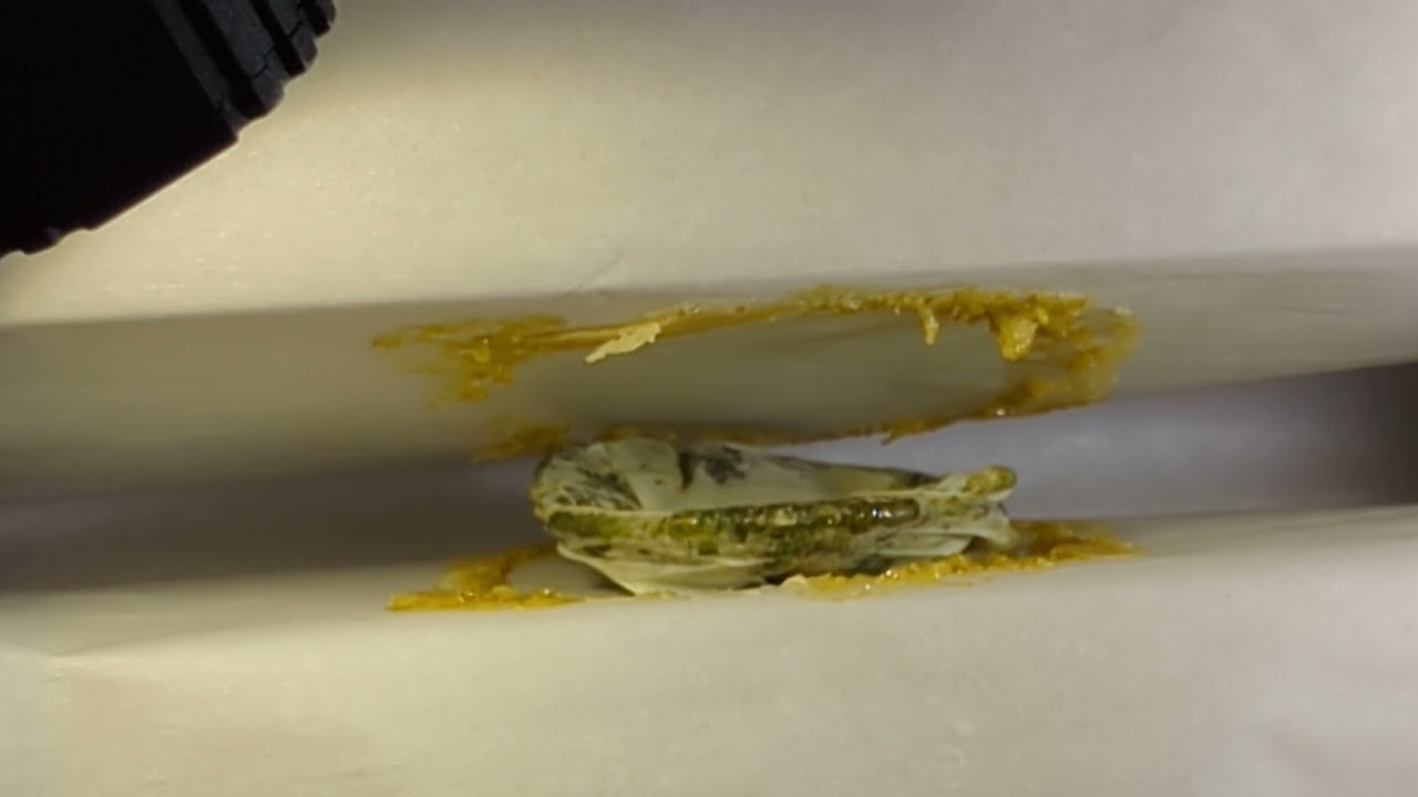 Pressing GTI Jet Fuel flower for a patient. NSFOT