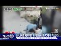白天突斷電秒睡! 猝睡症新藥大陸率先上市｜TVBS新聞 @TVBSNEWS01