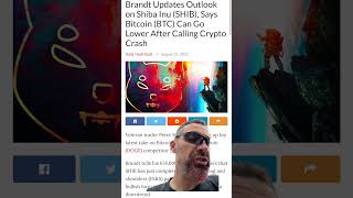 Legendary Trader Peter Brandt CRASH Outlook on Shiba Inu & BTC